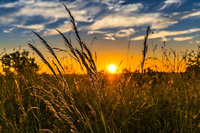 Agricultual products Agricultual products